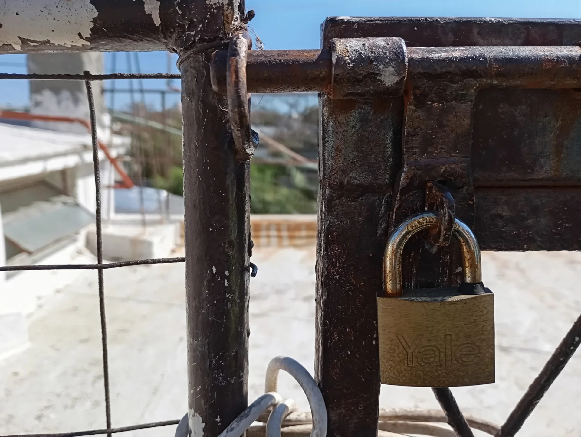 Apartamento en alquiler. Parque Batlle. Prox. Av. Italia. — foto 5