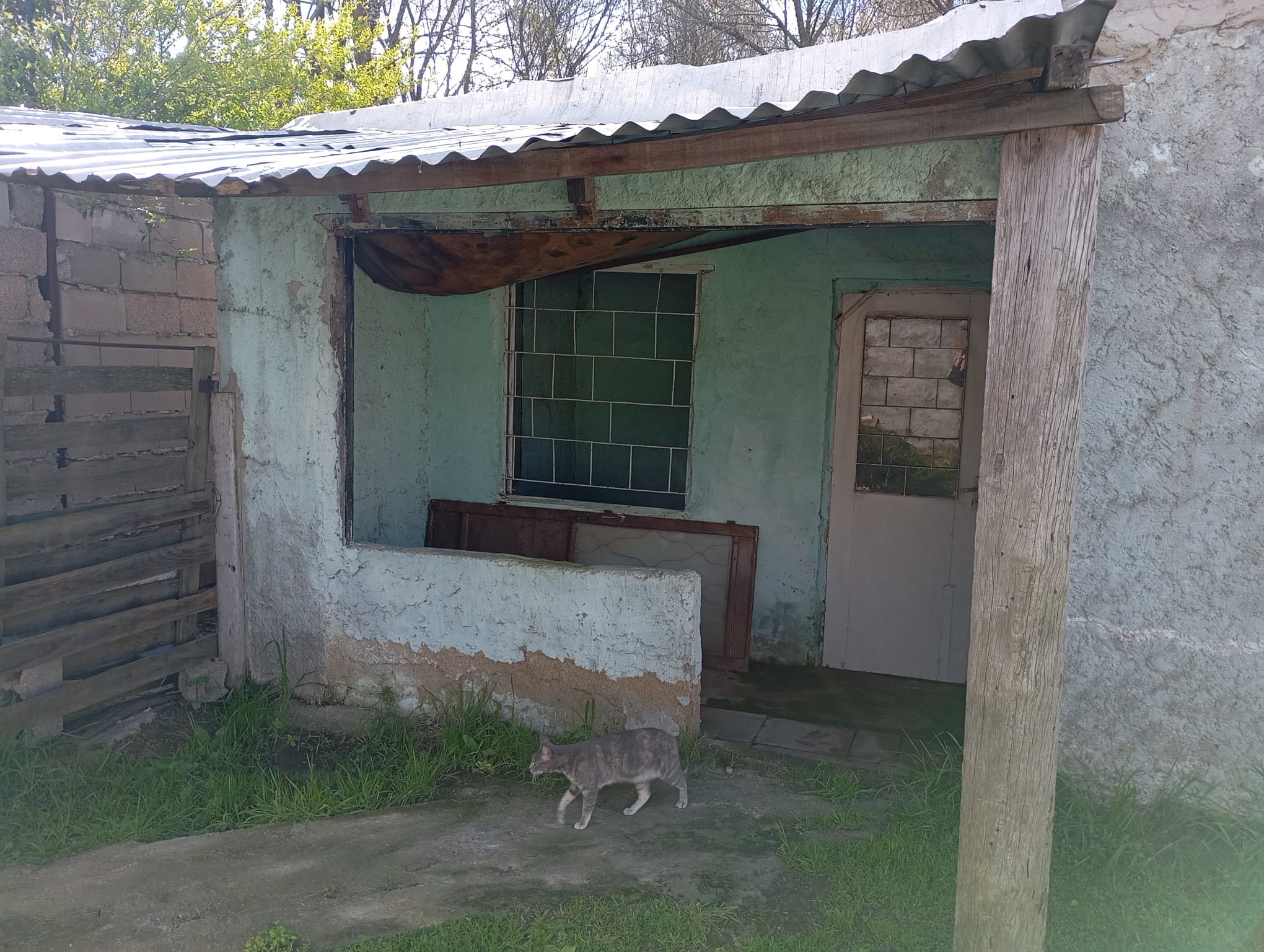 OPORTUNIDAD EN PANDO: Casa Principal + 2 Apartamentos a Refaccionar en Amplio Terreno — foto 10