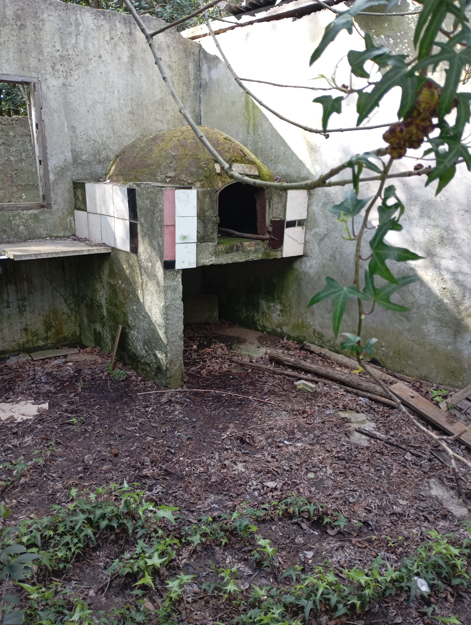OPORTUNIDAD EN PANDO: Casa Principal + 2 Apartamentos a Refaccionar en Amplio Terreno — foto 12