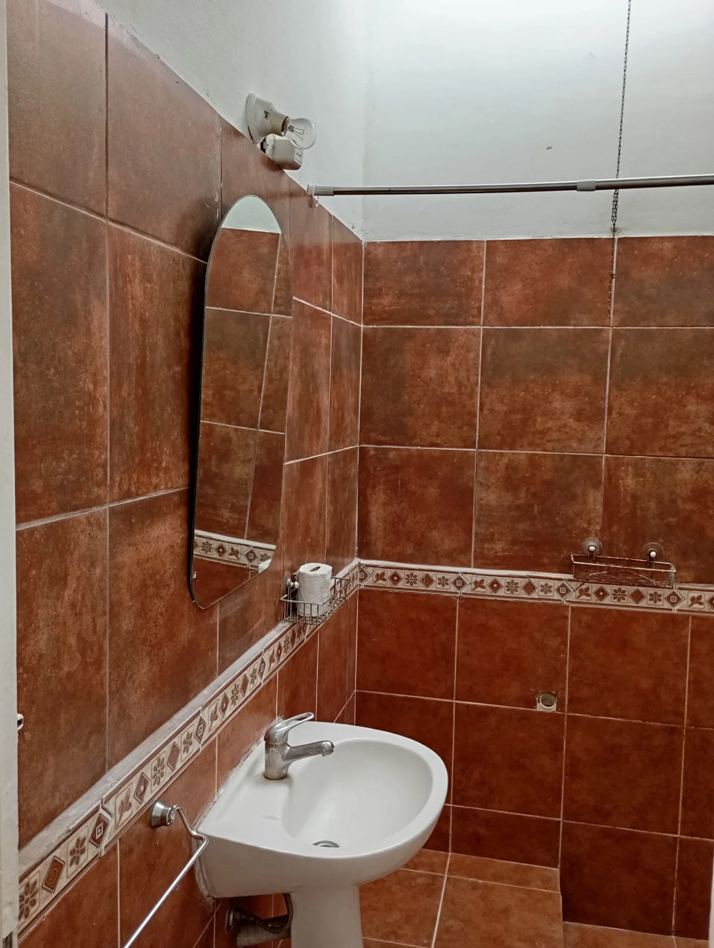 Apartamento en alquiler. Parque Batlle. Prox. Av. Italia. — foto 4